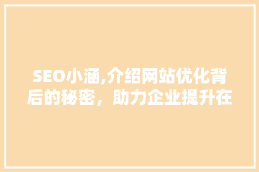 SEO小涵,介绍网站优化背后的秘密，助力企业提升在线竞争力
