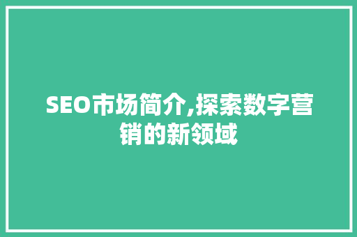 SEO市场简介,探索数字营销的新领域
