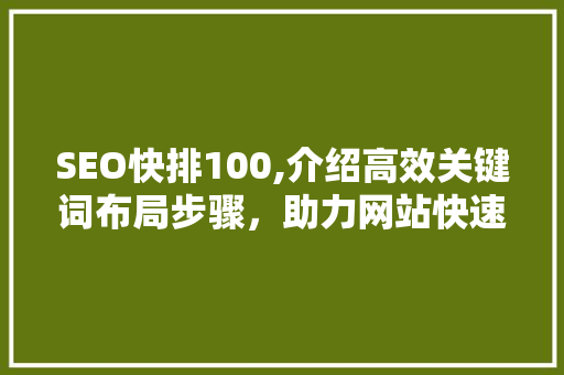 SEO快排100,介绍高效关键词布局步骤，助力网站快速提升排名