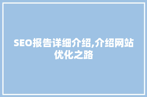 SEO报告详细介绍,介绍网站优化之路