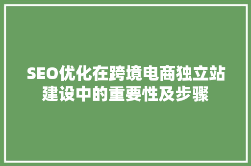 SEO优化在跨境电商独立站建设中的重要性及步骤