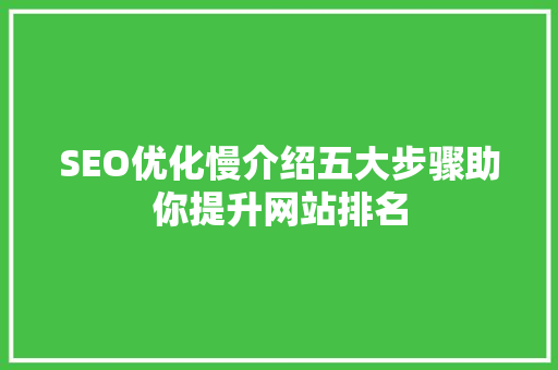 SEO优化慢介绍五大步骤助你提升网站排名