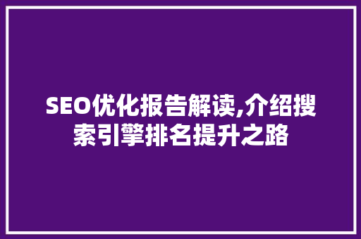SEO优化报告解读,介绍搜索引擎排名提升之路