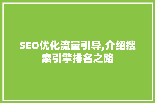 SEO优化流量引导,介绍搜索引擎排名之路