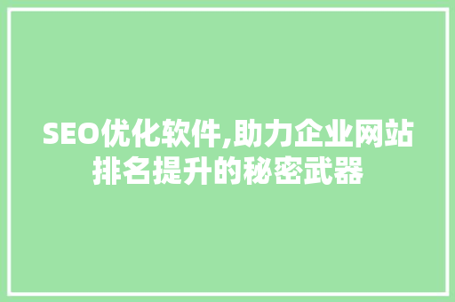 SEO优化软件,助力企业网站排名提升的秘密武器
