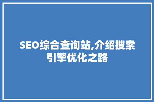 SEO综合查询站,介绍搜索引擎优化之路