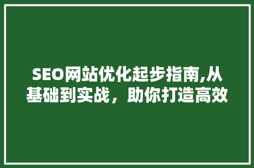 SEO网站优化起步指南,从基础到实战，助你打造高效网站