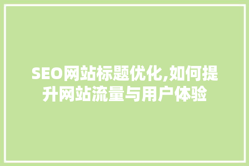 SEO网站标题优化,如何提升网站流量与用户体验