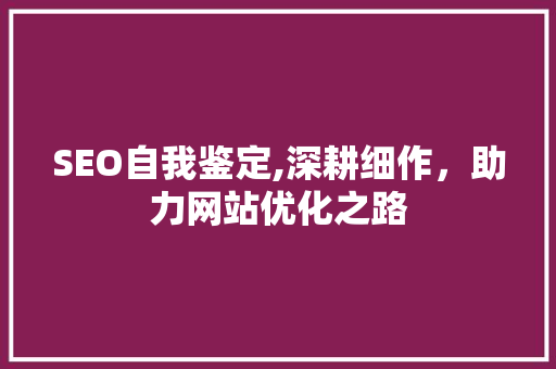 SEO自我鉴定,深耕细作，助力网站优化之路