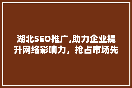 湖北SEO推广,助力企业提升网络影响力，抢占市场先机