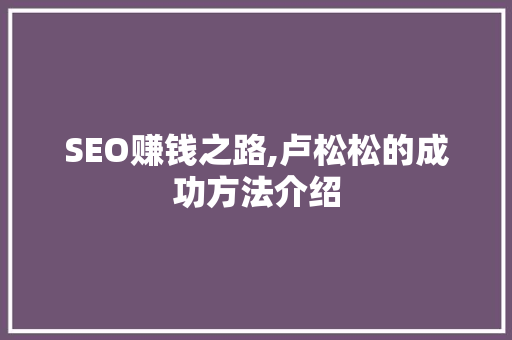 SEO赚钱之路,卢松松的成功方法介绍