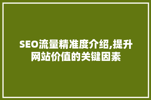 SEO流量精准度介绍,提升网站价值的关键因素