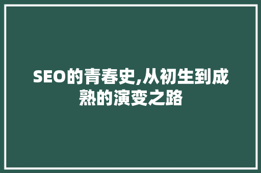 SEO的青春史,从初生到成熟的演变之路