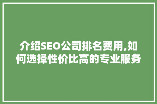 介绍SEO公司排名费用,如何选择性价比高的专业服务