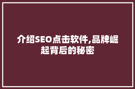 介绍SEO点击软件,品牌崛起背后的秘密