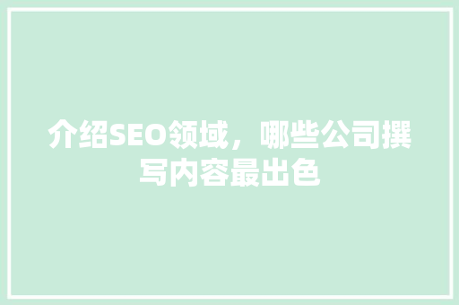 介绍SEO领域，哪些公司撰写内容最出色