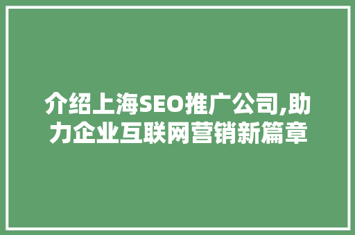 介绍上海SEO推广公司,助力企业互联网营销新篇章