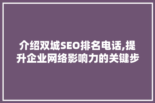 介绍双城SEO排名电话,提升企业网络影响力的关键步骤