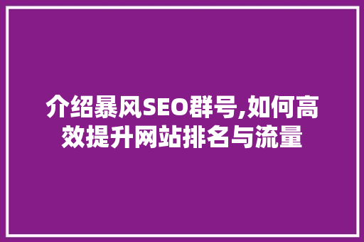 介绍暴风SEO群号,如何高效提升网站排名与流量