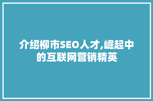 介绍柳市SEO人才,崛起中的互联网营销精英