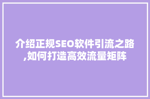 介绍正规SEO软件引流之路,如何打造高效流量矩阵