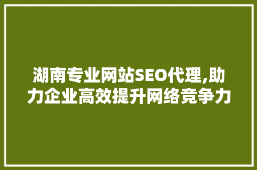 湖南专业网站SEO代理,助力企业高效提升网络竞争力