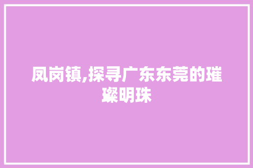 凤岗镇,探寻广东东莞的璀璨明珠