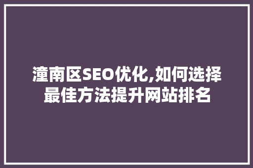 潼南区SEO优化,如何选择最佳方法提升网站排名
