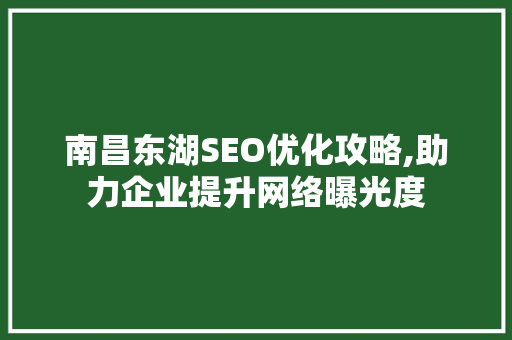 南昌东湖SEO优化攻略,助力企业提升网络曝光度