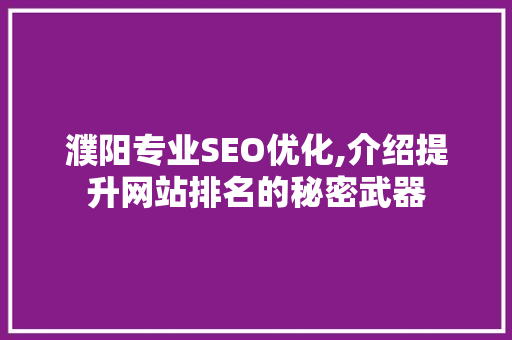 濮阳专业SEO优化,介绍提升网站排名的秘密武器