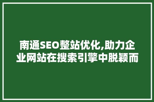南通SEO整站优化,助力企业网站在搜索引擎中脱颖而出