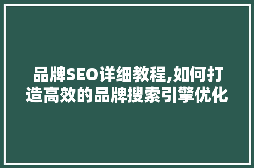 品牌SEO详细教程,如何打造高效的品牌搜索引擎优化步骤