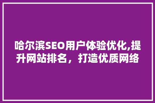 哈尔滨SEO用户体验优化,提升网站排名，打造优质网络品牌