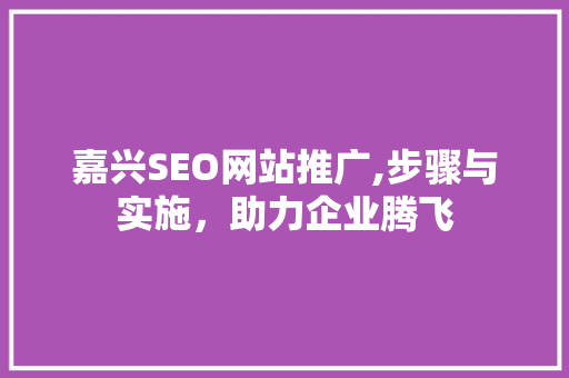 嘉兴SEO网站推广,步骤与实施，助力企业腾飞