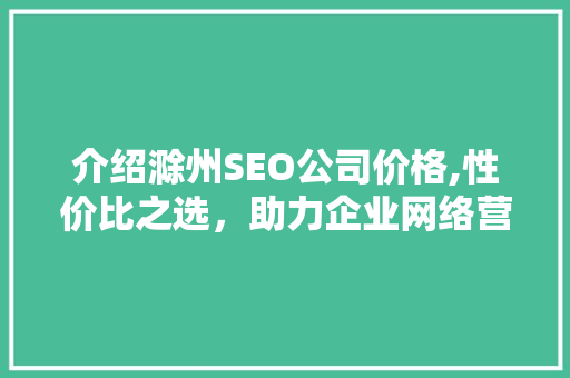 介绍滁州SEO公司价格,性价比之选，助力企业网络营销