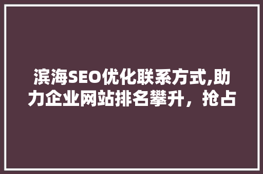 滨海SEO优化联系方式,助力企业网站排名攀升，抢占互联网市场先机