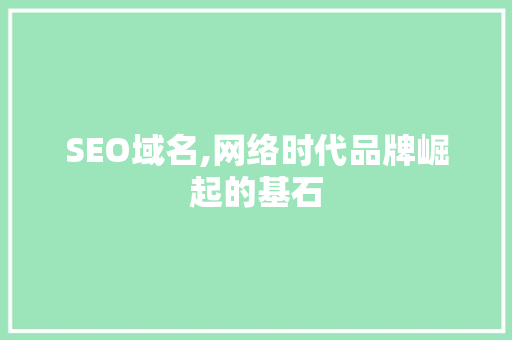 SEO域名,网络时代品牌崛起的基石