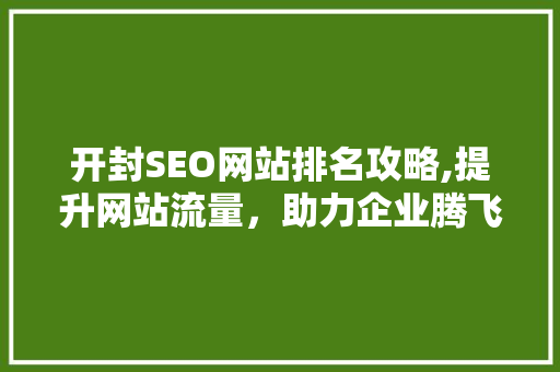 开封SEO网站排名攻略,提升网站流量，助力企业腾飞