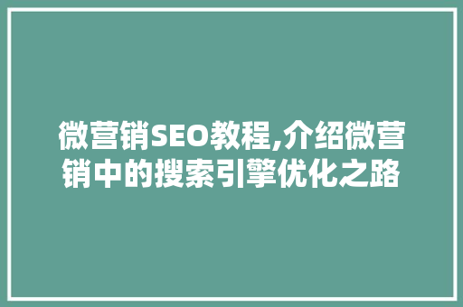微营销SEO教程,介绍微营销中的搜索引擎优化之路