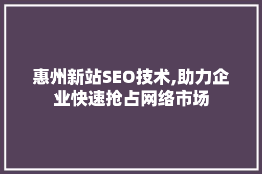 惠州新站SEO技术,助力企业快速抢占网络市场