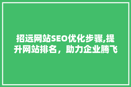 招远网站SEO优化步骤,提升网站排名，助力企业腾飞