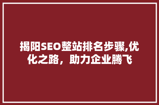 揭阳SEO整站排名步骤,优化之路，助力企业腾飞