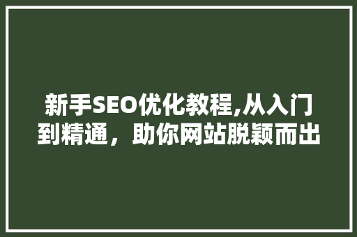 新手SEO优化教程,从入门到精通，助你网站脱颖而出