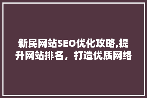 新民网站SEO优化攻略,提升网站排名，打造优质网络品牌