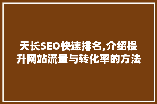天长SEO快速排名,介绍提升网站流量与转化率的方法