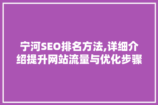 宁河SEO排名方法,详细介绍提升网站流量与优化步骤