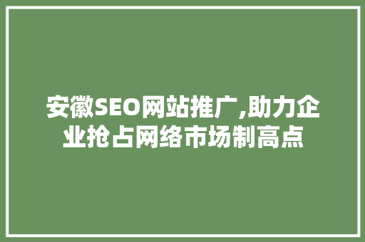 安徽SEO网站推广,助力企业抢占网络市场制高点