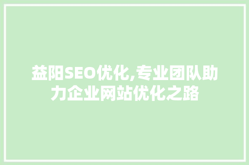 益阳SEO优化,专业团队助力企业网站优化之路