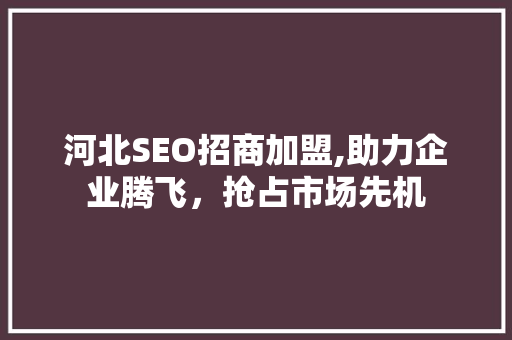 河北SEO招商加盟,助力企业腾飞，抢占市场先机