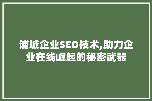 浦城企业SEO技术,助力企业在线崛起的秘密武器